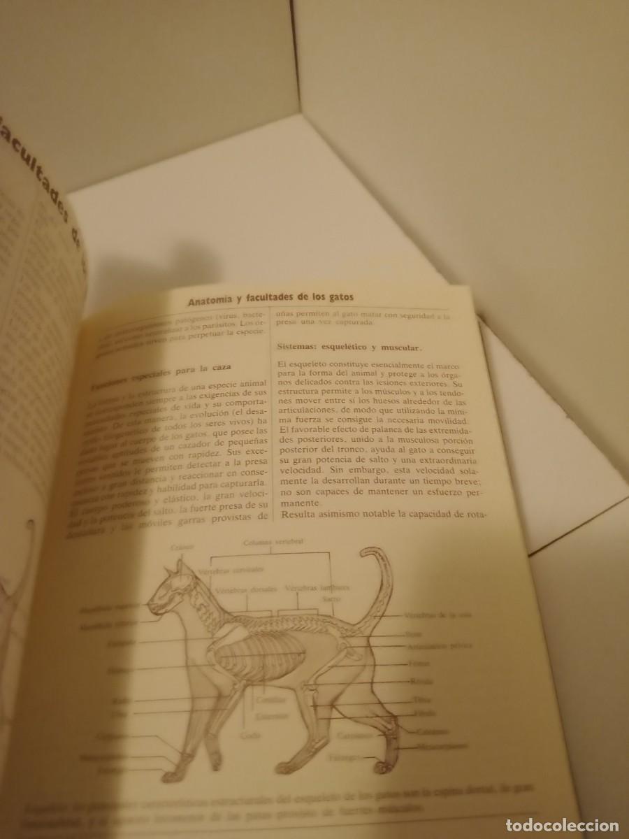 Libros de segunda mano: Libro El nuevo libro del gato - Foto 7