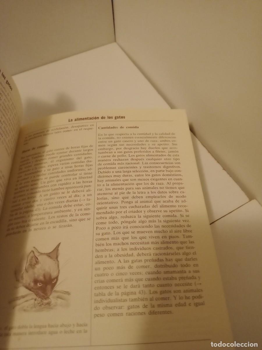 Libros de segunda mano: Libro El nuevo libro del gato - Foto 8