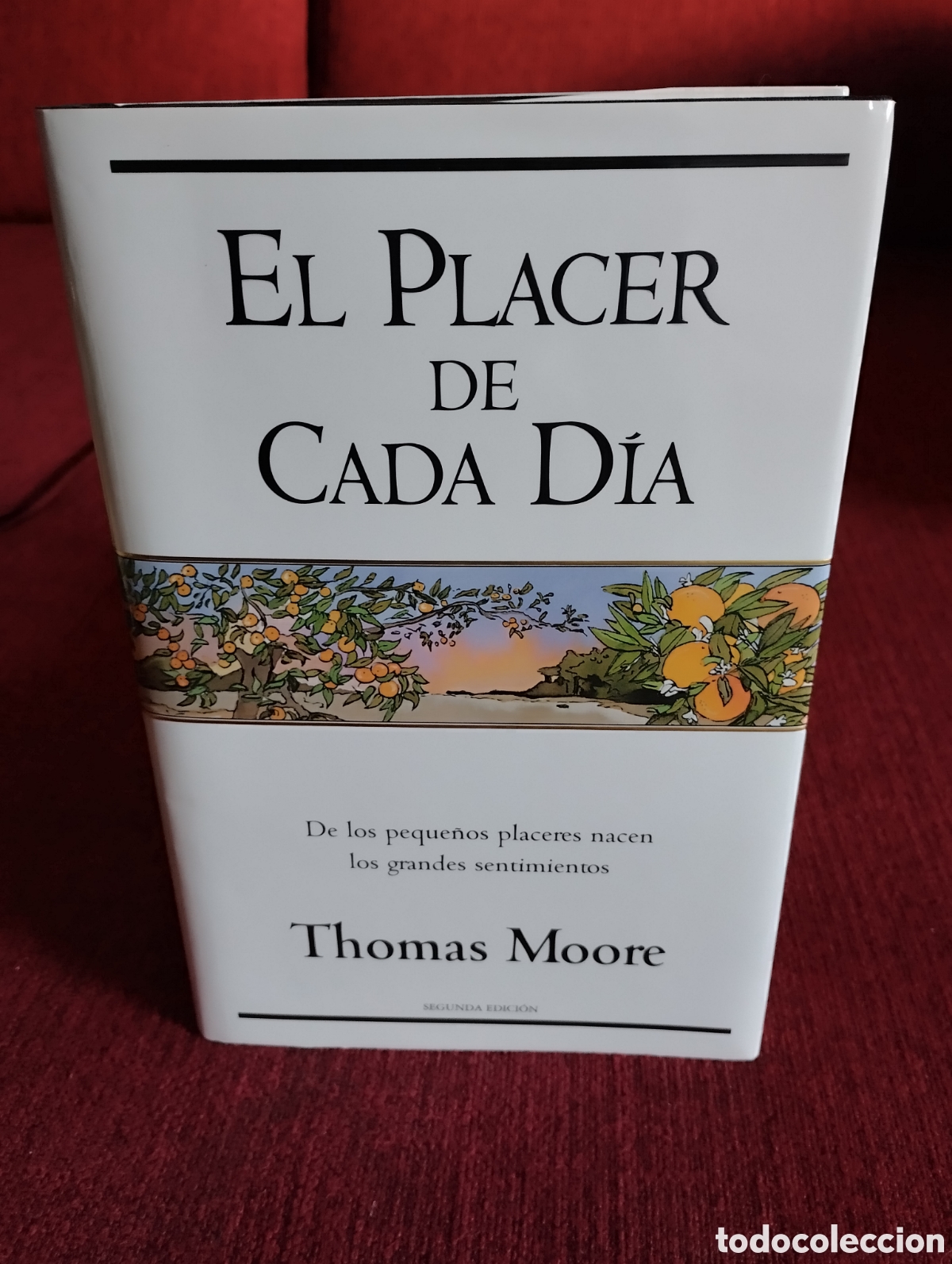 Libros de segunda mano: -El Placer De Cada Dia-.Thomas Moore. - Foto 1