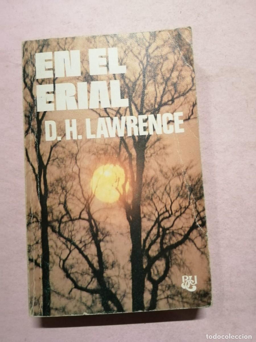 Libros de segunda mano: EN EL ERIAL (D. H. LAWRENCE) - Foto 1
