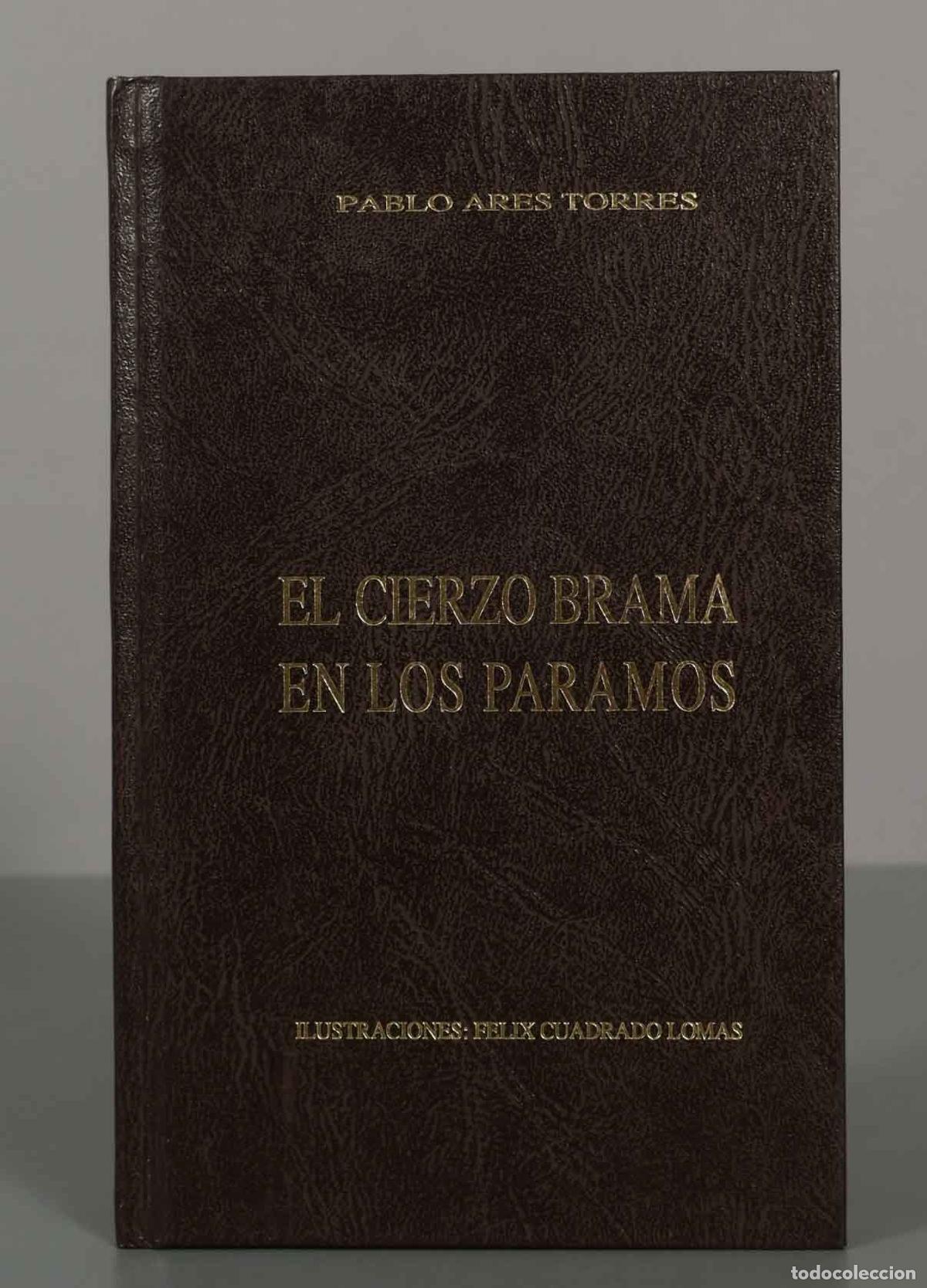 Livres d'occasion: El cierzo brama en los p&aacute;ramos Pablo Ares Torres.