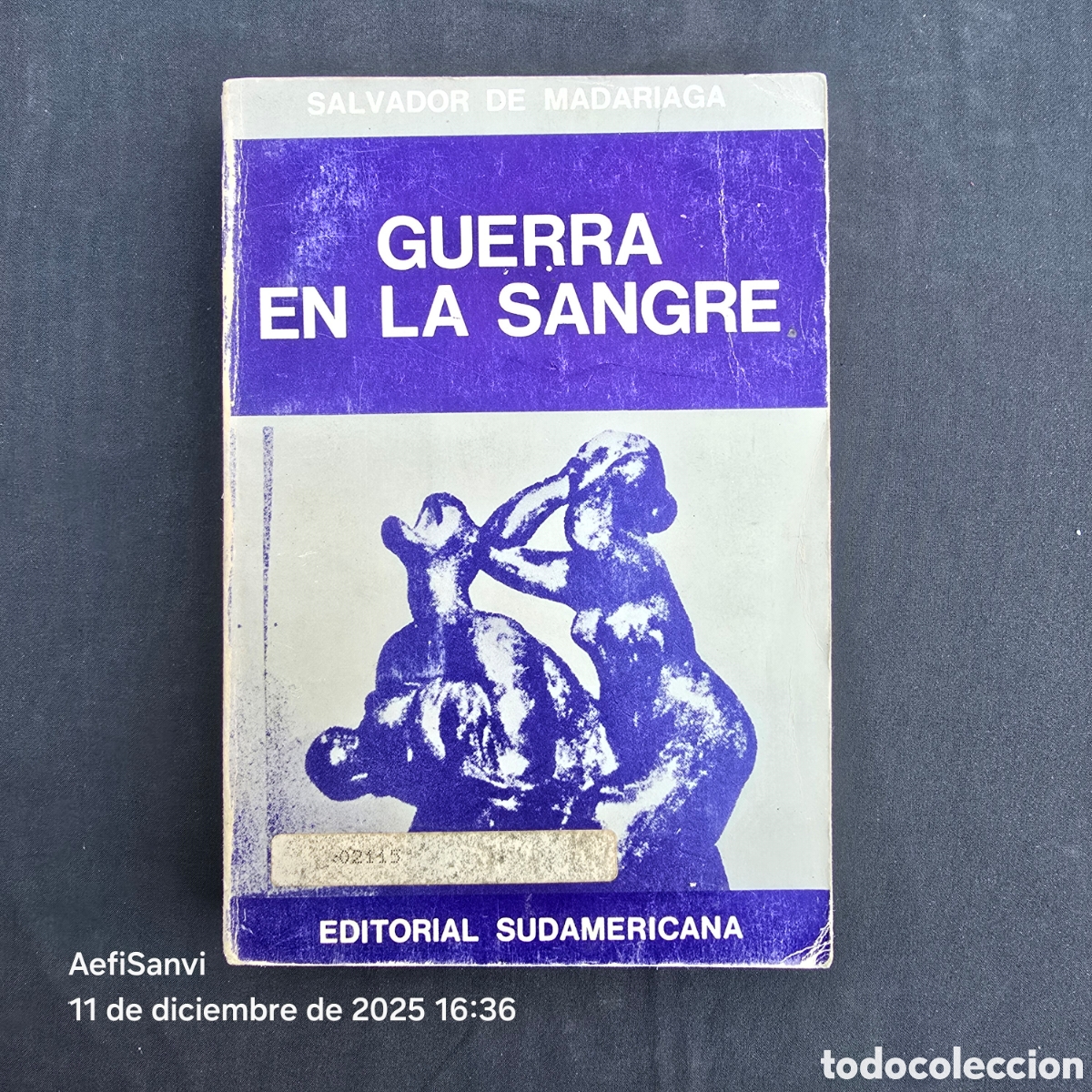 Libri di seconda mano: GUERRA EN LA SANGRE (SALVADOR DE MADARIAGA) (SUDAMERICANA)