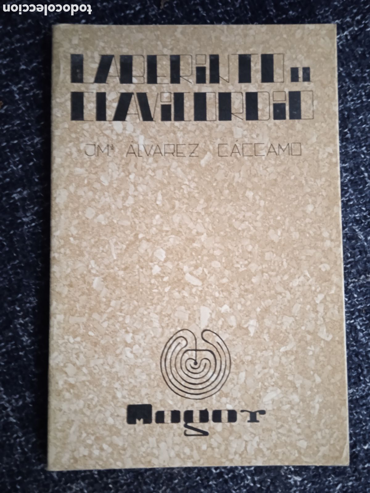 Libros de segunda mano: Laberinto el clavicordio / Jos&eacute; Mar&iacute;a &Aacute;lvarez C&aacute;ccamo 1977