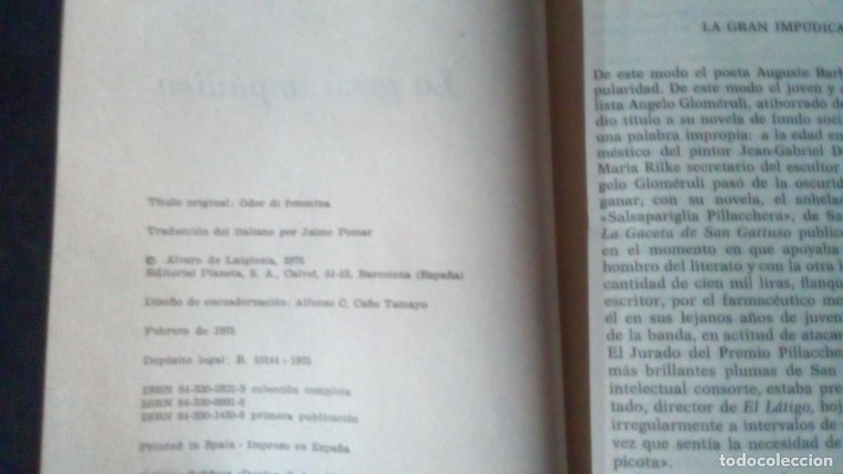 Libros de segunda mano: LA GRAN IMP&Uacute;DICA - PITIGRILLI - PLANETA 1975 - Foto 3