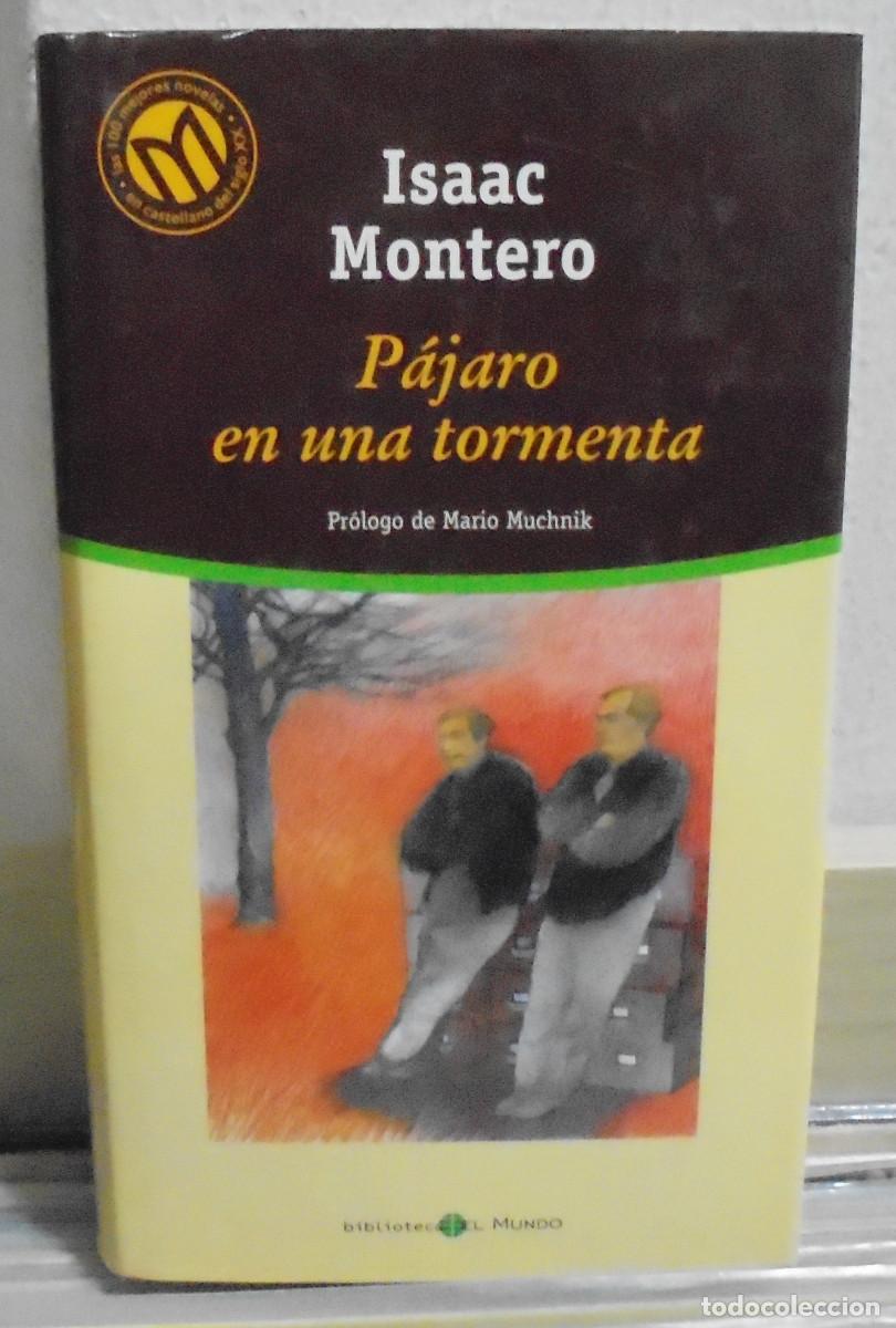 Libros de segunda mano: P&aacute;jaro en una tormenta. Isaac Montero - Foto 1