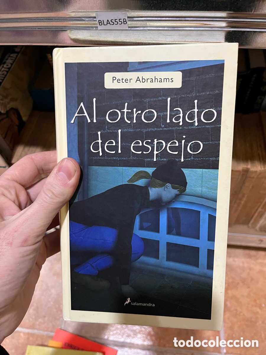 Libros de segunda mano: BLAS55B Peter Abrahams Al otro lado del espejo - Foto 1