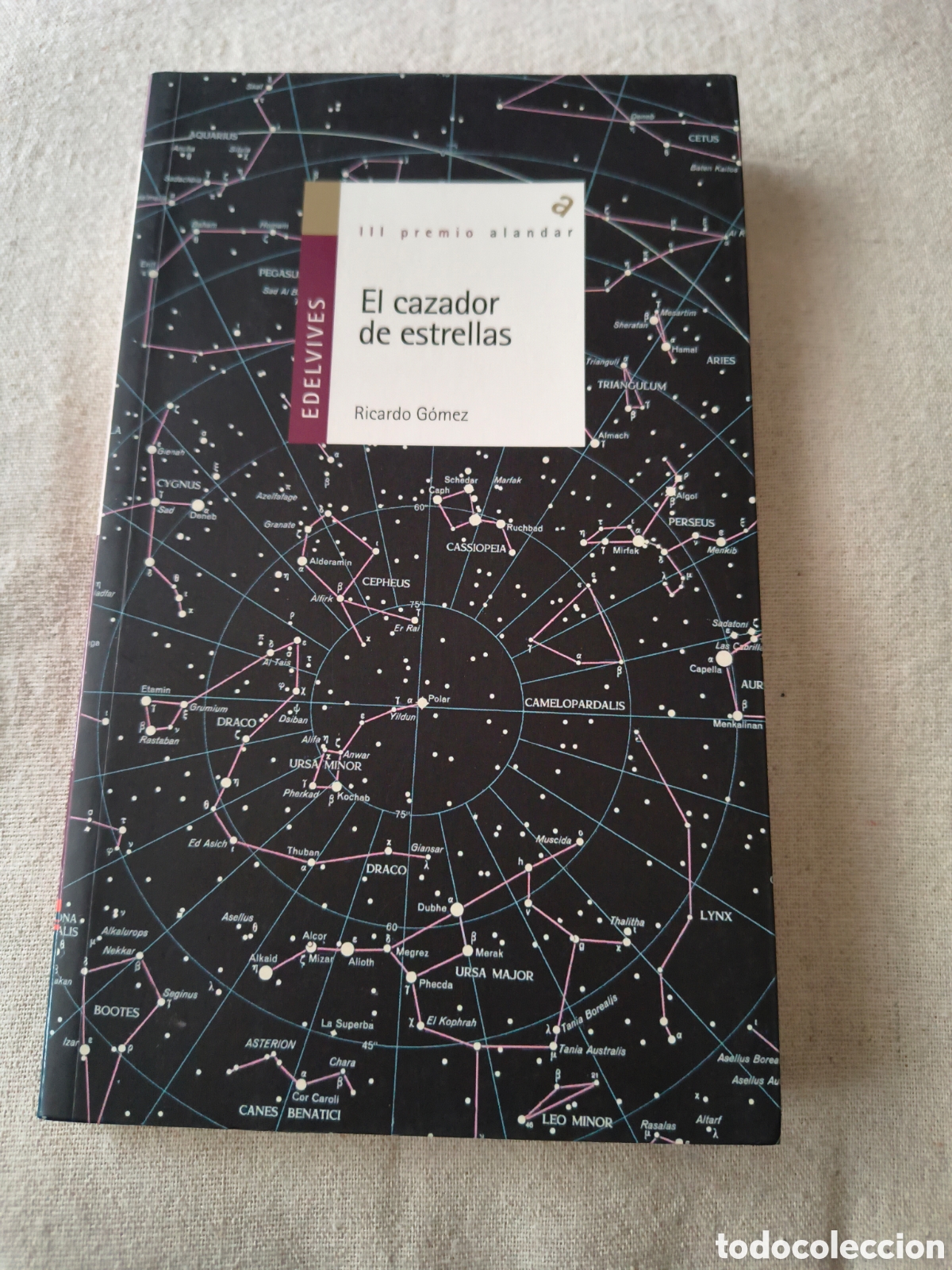 Libros de segunda mano: EL CAZADOR DE ESTRELLAS DE RICARDO GOMEZ (EDELVIVES)