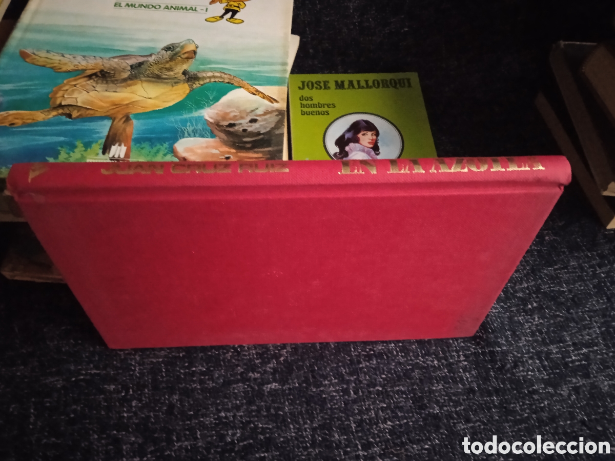 Libri di seconda mano: EN LA AZOTEA / JUAN CRUZ RUIZ -ED. MONDADORI