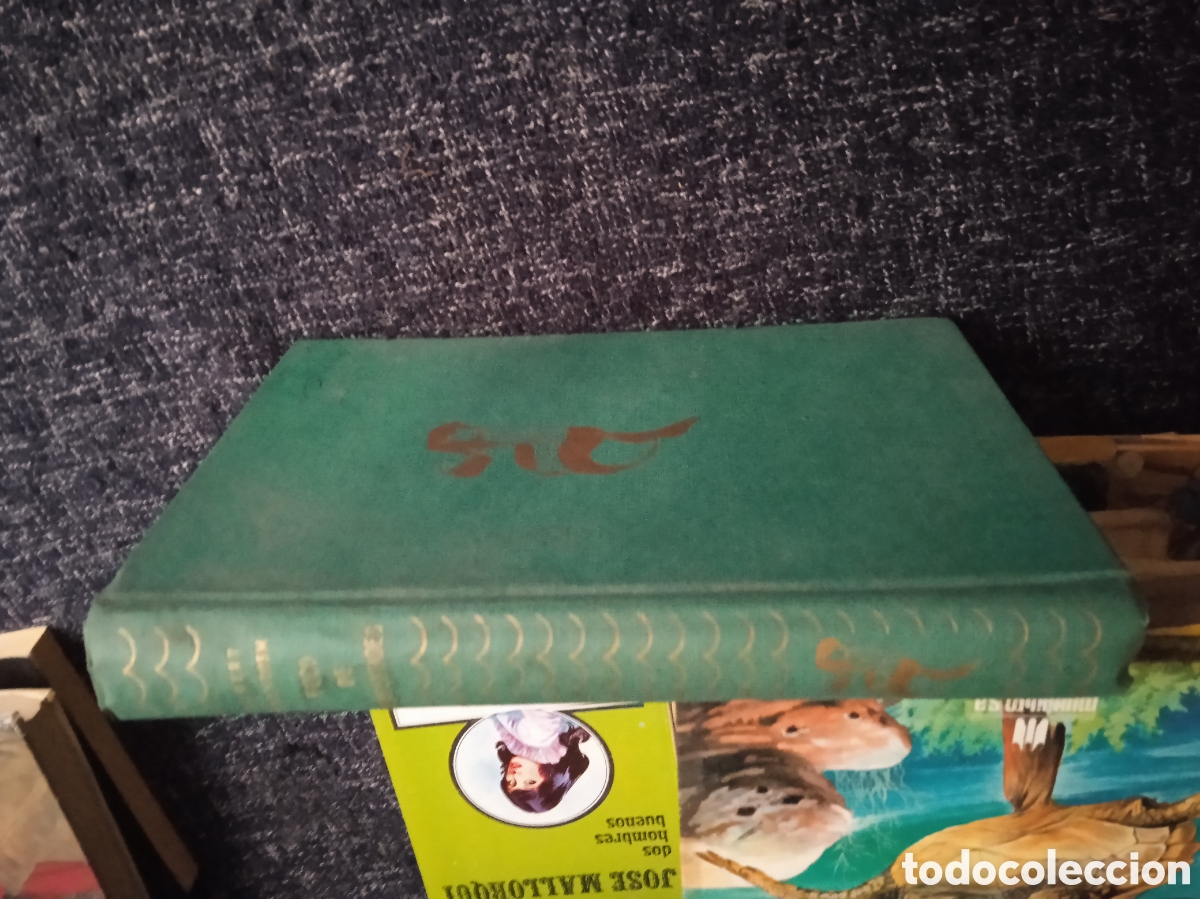 Libros de segunda mano: FOCO DE TEMPESTADES / ROBERT STANDISH