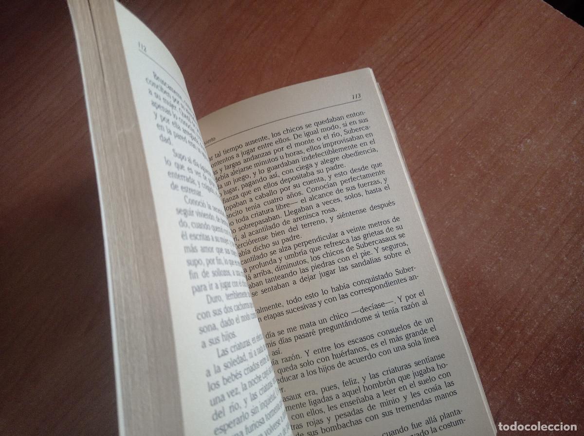 Libros de segunda mano: Cuentos de la Selva - Horacio Quiroga - Ed. Alborada - 1987 - Foto 4