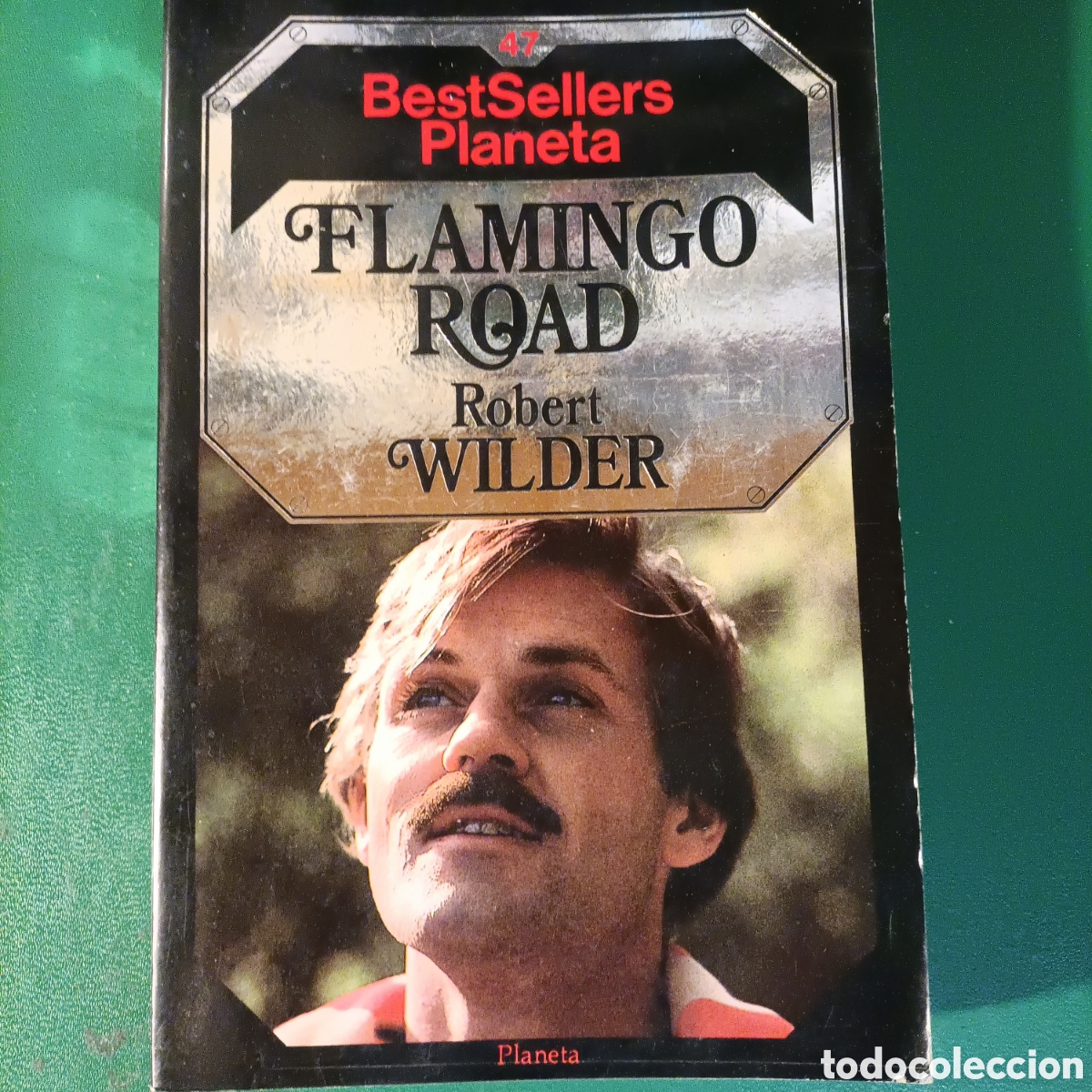 Libros de segunda mano: FLAMINGO ROAD (ROBERT WILDER) - PLANETA - Foto 1