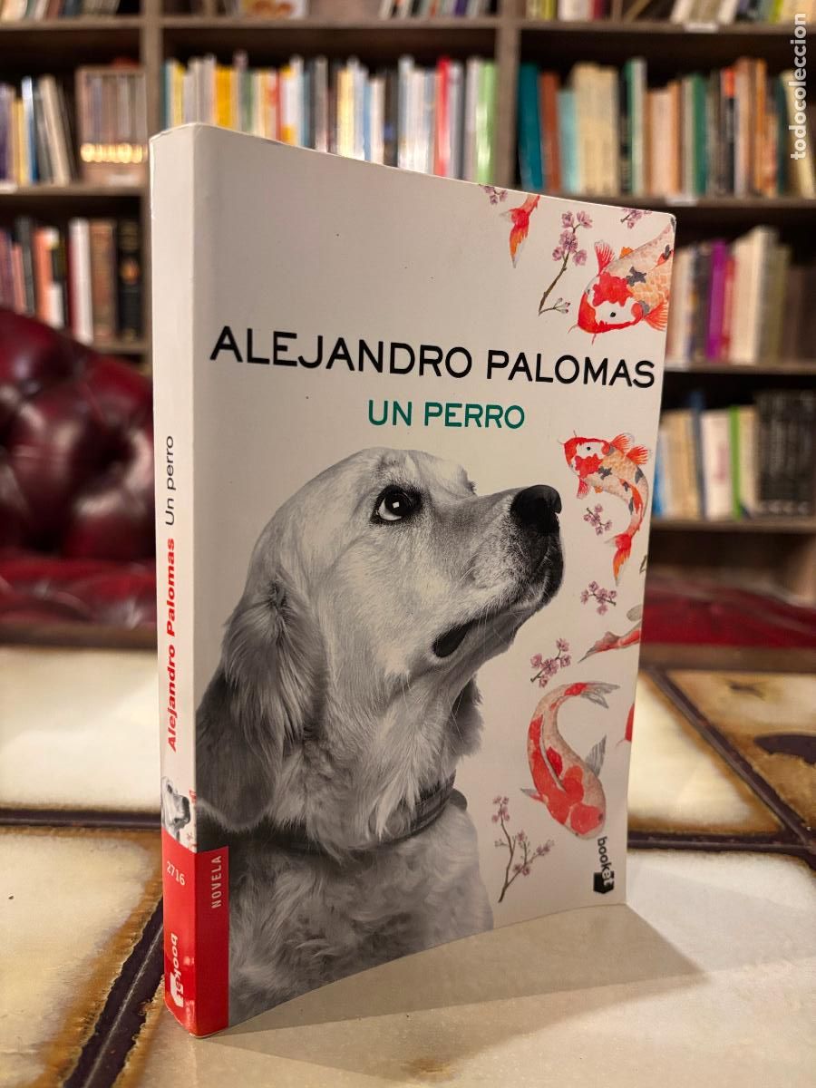Libros de segunda mano: Un perro. Alejandro Palomas. - Foto 1