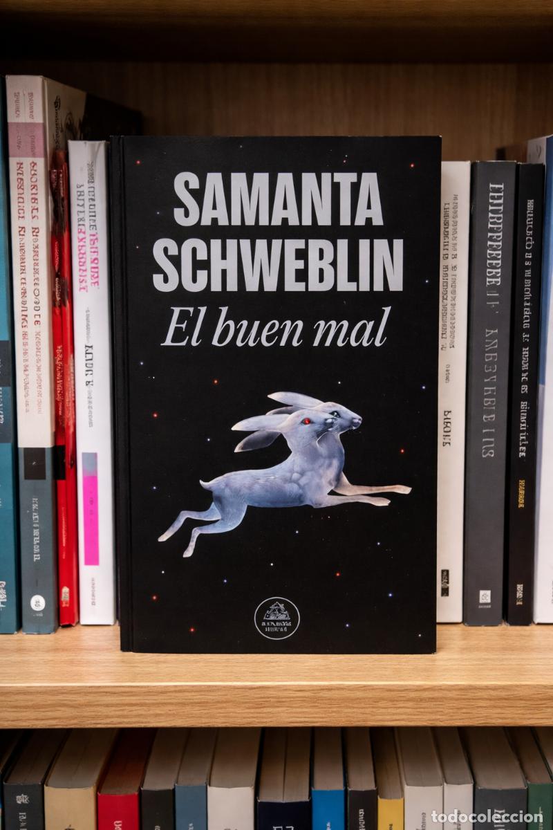 Libros de segunda mano: Samanta Schweblin &mdash; El buen mal. Random House - LM* - Foto 1
