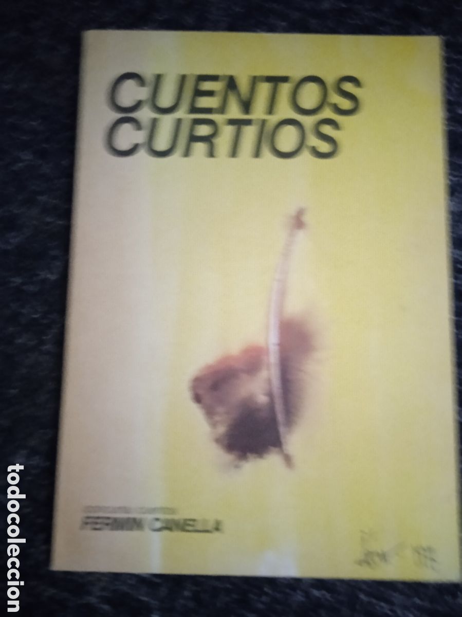 Gebrauchte B&uuml;cher: CUENTOS CURTIOS. / FERMIN CANELLA. En gallego