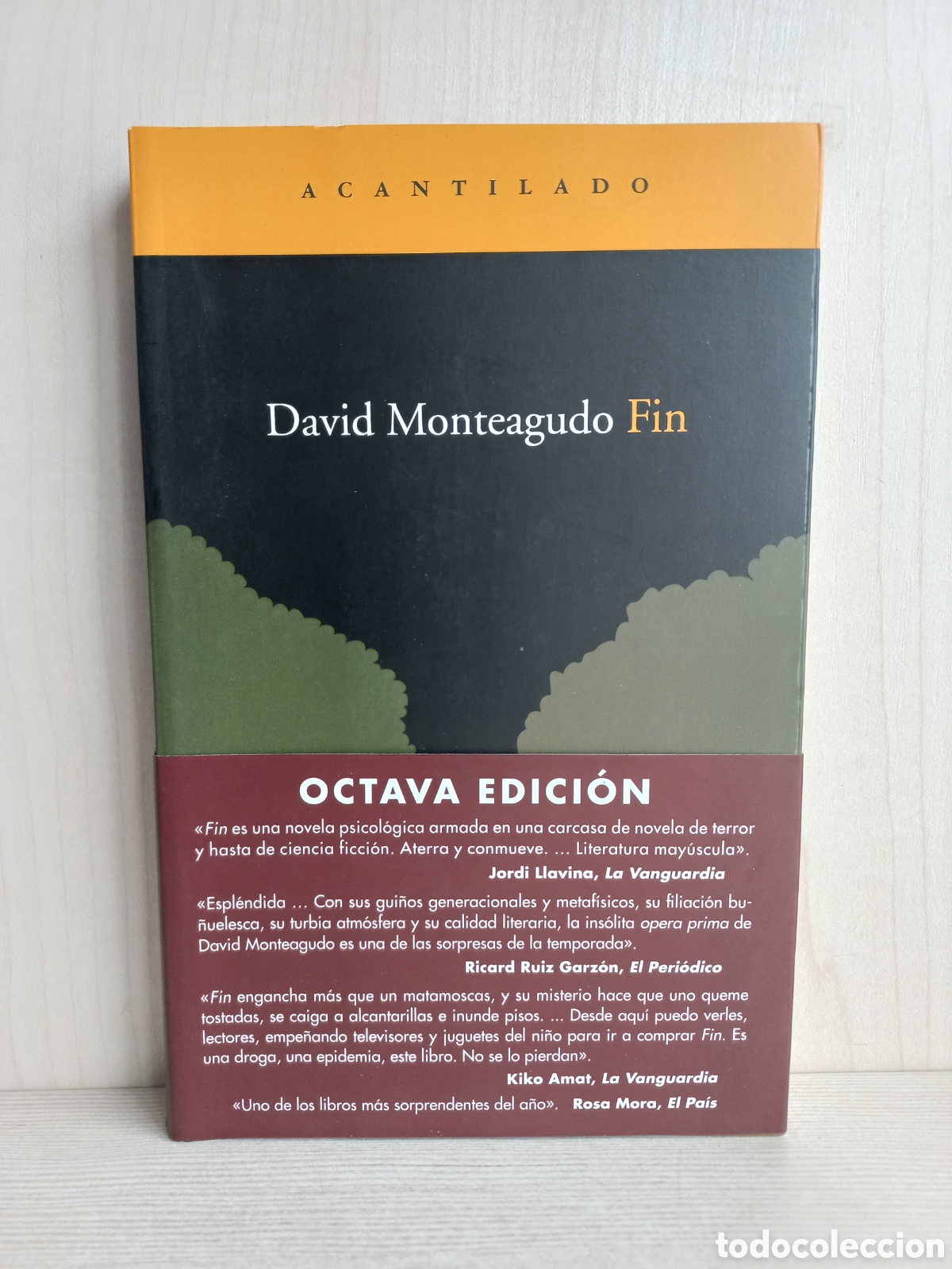 Gebrauchte B&uuml;cher: Fin. David Monteagudo. Acantilado, 2010.