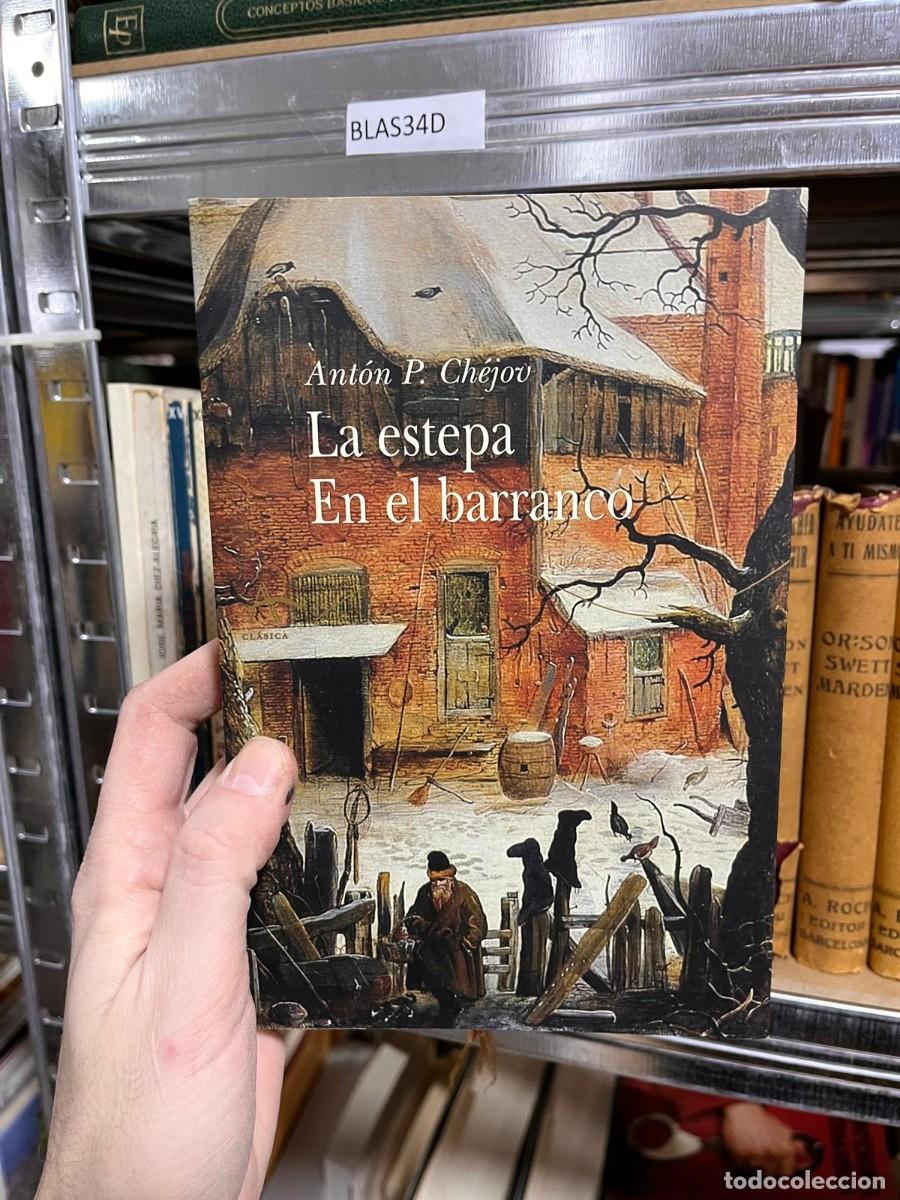 Libros de segunda mano: BLAS34D Ant&oacute;n P. Chejov La estepa En el barranco - Foto 1