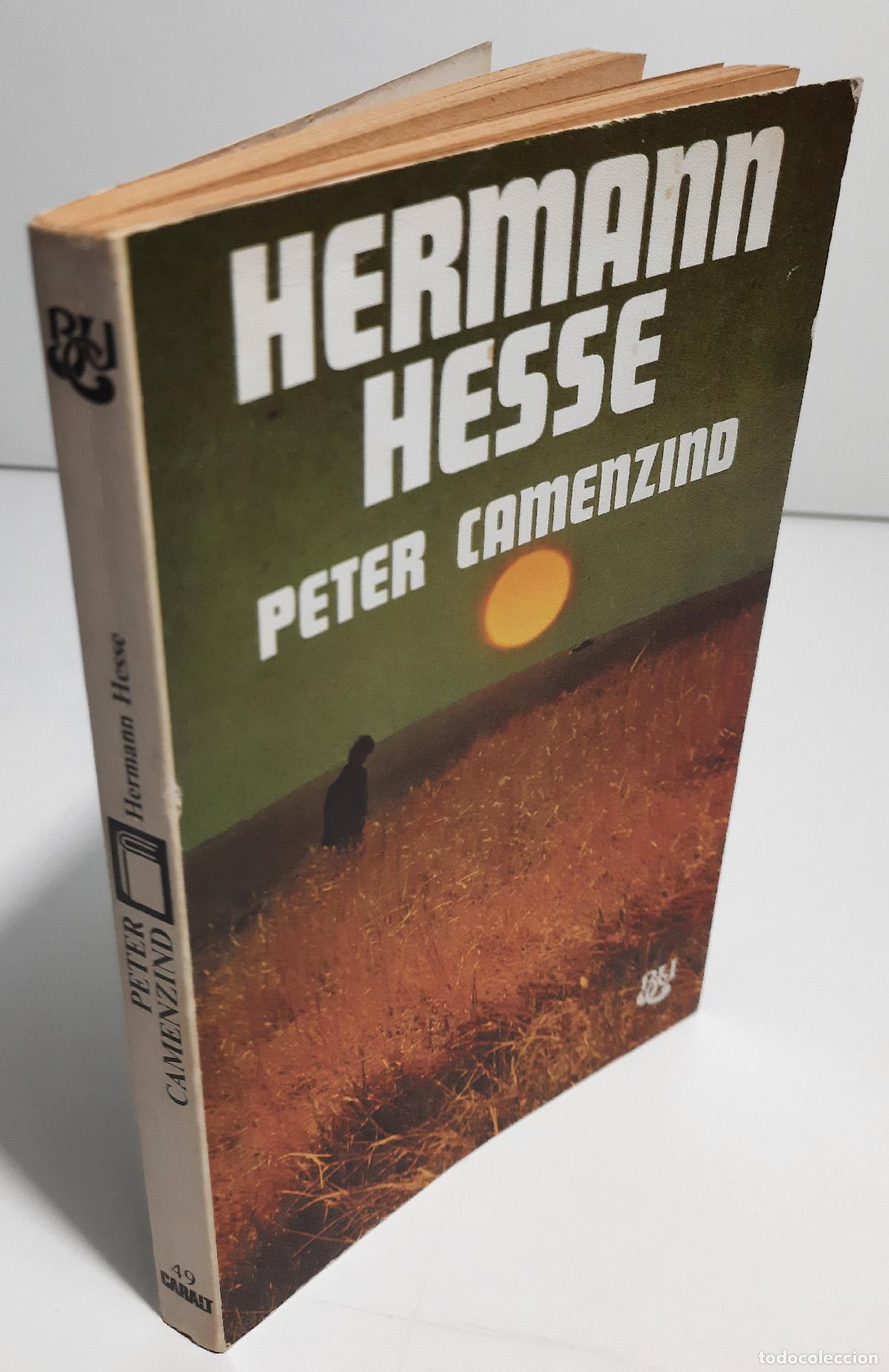Libros de segunda mano: Peter Camenzind - Hesse, Hermann - Foto 3