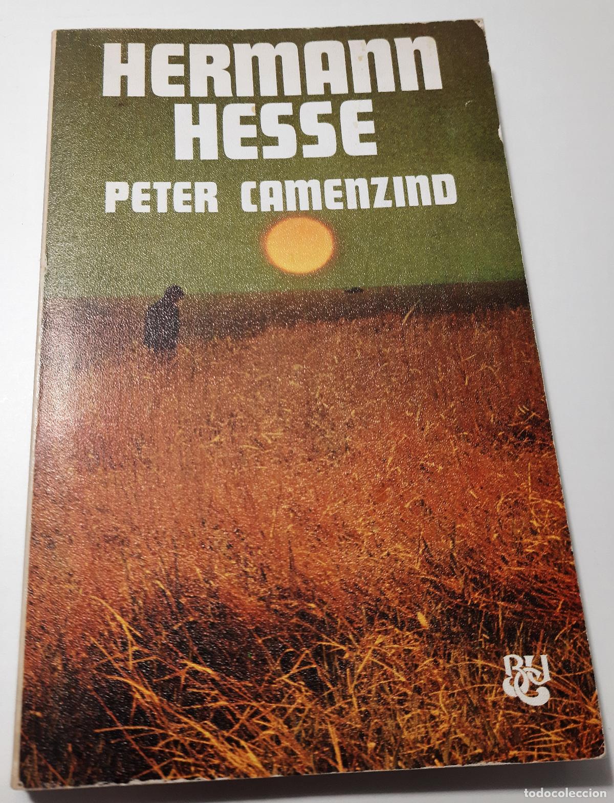 Libros de segunda mano: Peter Camenzind - Hesse, Hermann - Foto 1
