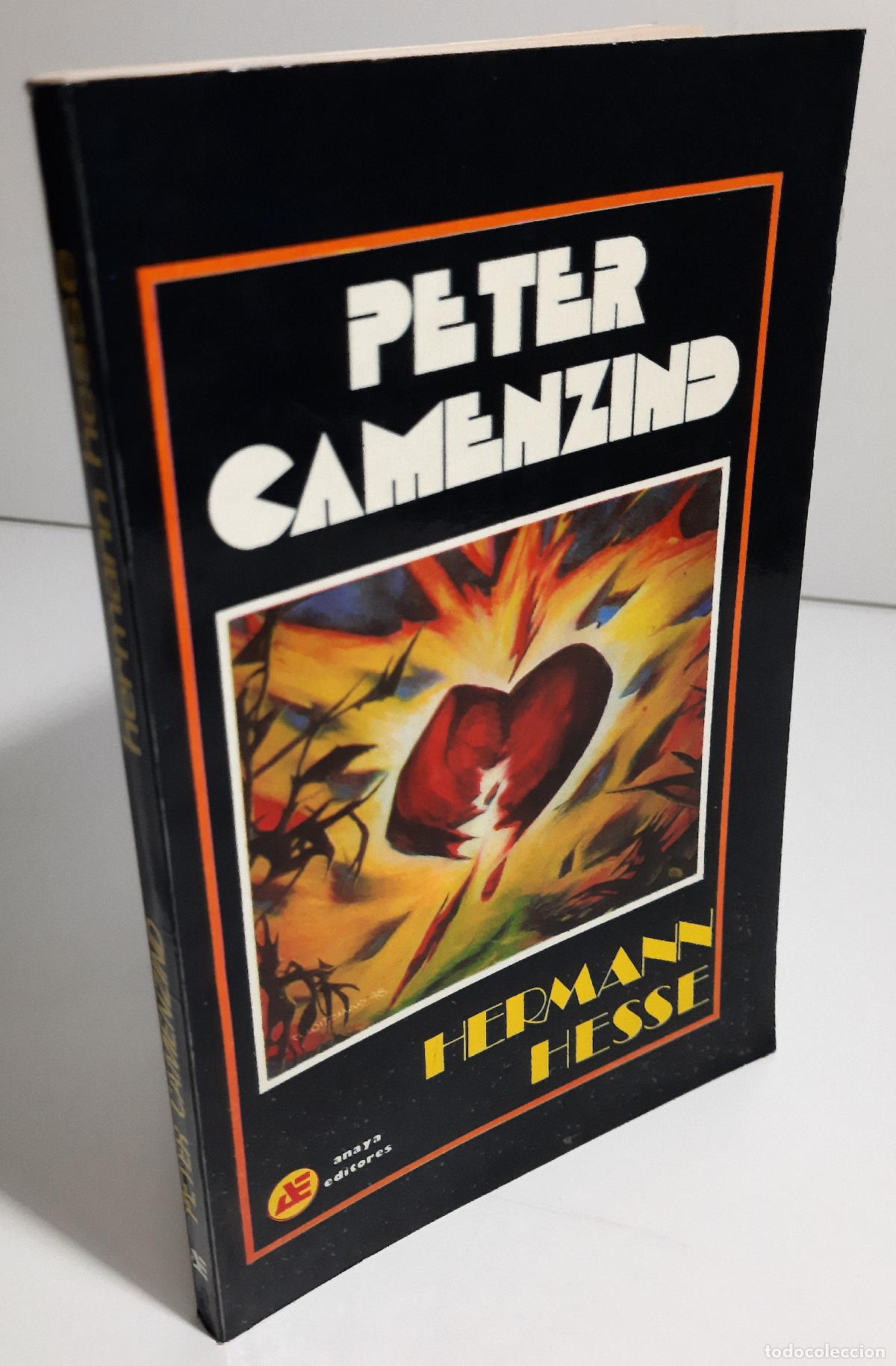 Libros de segunda mano: Peter Camenzind - Hesse, Hermann - Foto 4
