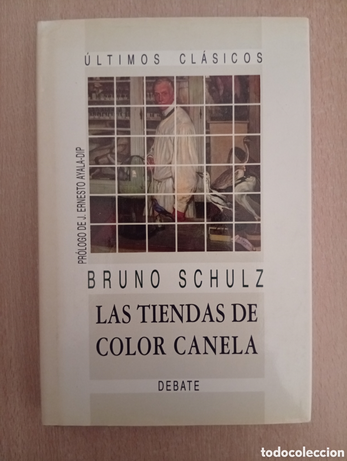 Libros de segunda mano: LAS TIENDAS DE COLOR CANELA. Bruno Schulz. Editorial Debate