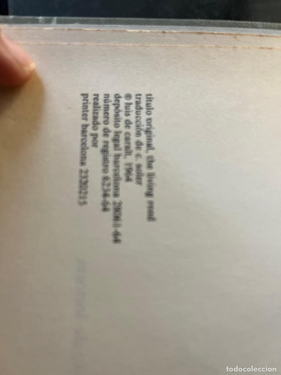 Libros de segunda mano: libro Bambu pearl S. Buck - Foto 2