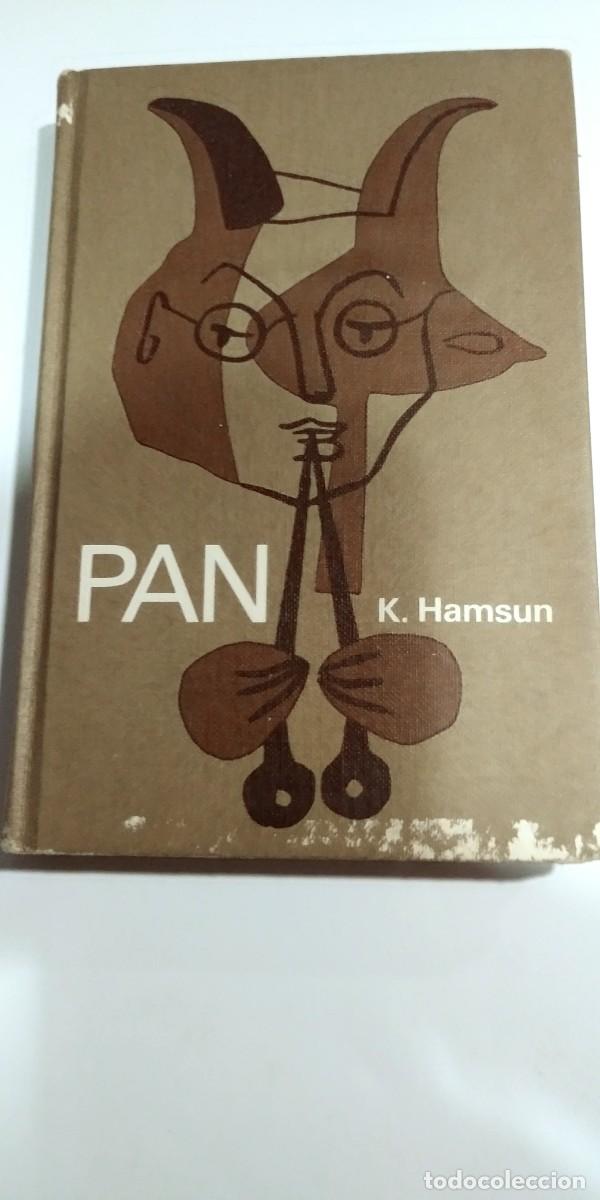 Libros de segunda mano: Pan K. Hamsun Edici&oacute;n &iacute;ntegra - Foto 1