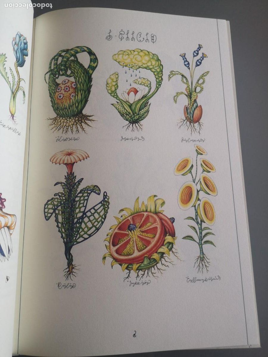 Libros de segunda mano: Codex Seraphinianus / Franco Maria Ricci / Facsimil - Foto 7