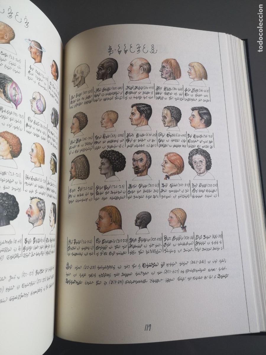 Libros de segunda mano: Codex Seraphinianus / Franco Maria Ricci / Facsimil - Foto 14