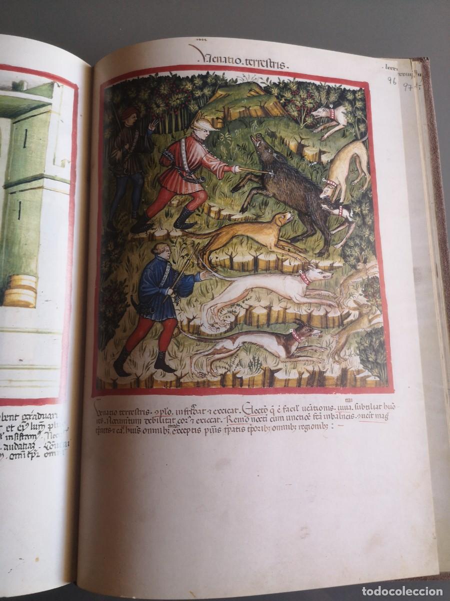 Libros de segunda mano: C&Oacute;DICE DE CERRUTI / FACSIMIL / EDITORIAL CASARIEGO - Foto 14