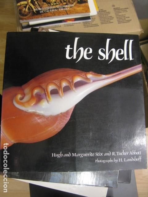 Gebrauchte B&uuml;cher: The shell / Hugh and Marguerite Stix and R. Tucker Abbott ; photos. by H. Landshoff