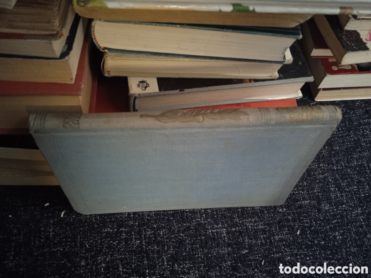 Libros de segunda mano: VIDAS ATORMENTADAS. / P.C. WREN - Foto 1