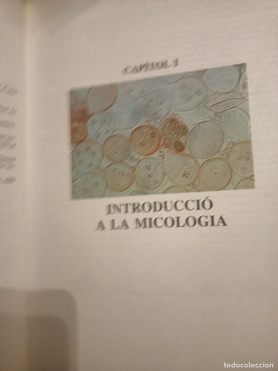 Libros de segunda mano: El llibre dels bolets - Foto 4