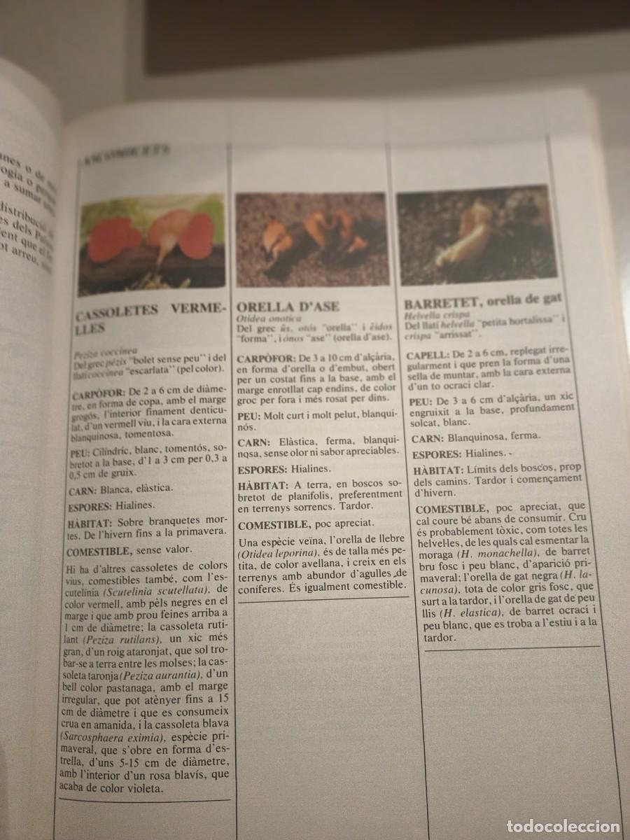 Libros de segunda mano: El llibre dels bolets - Foto 6