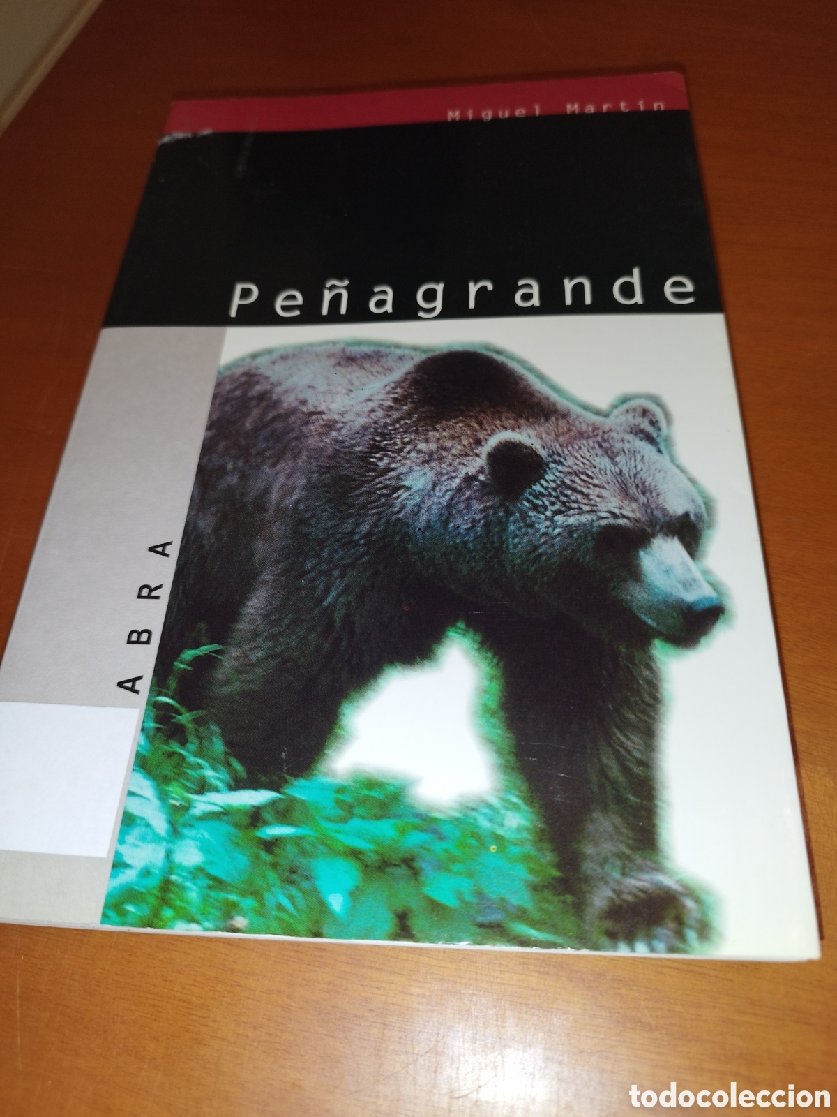 Libros de segunda mano: MIGUEL MARTIN : PE&Ntilde;AGRANDE. ED. PALABRA, 2000. PRIMERA EDICION