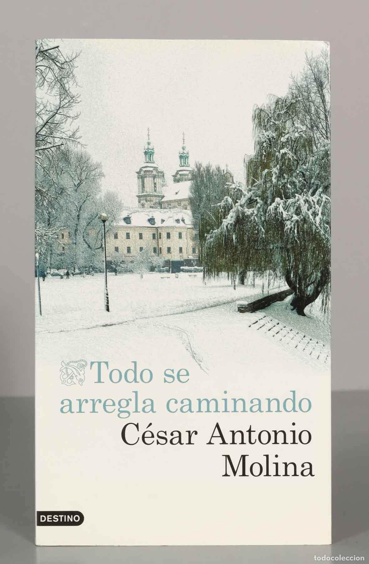 Libros de segunda mano: Todo se arregla caminando. C&eacute;sar Antonio Molina.