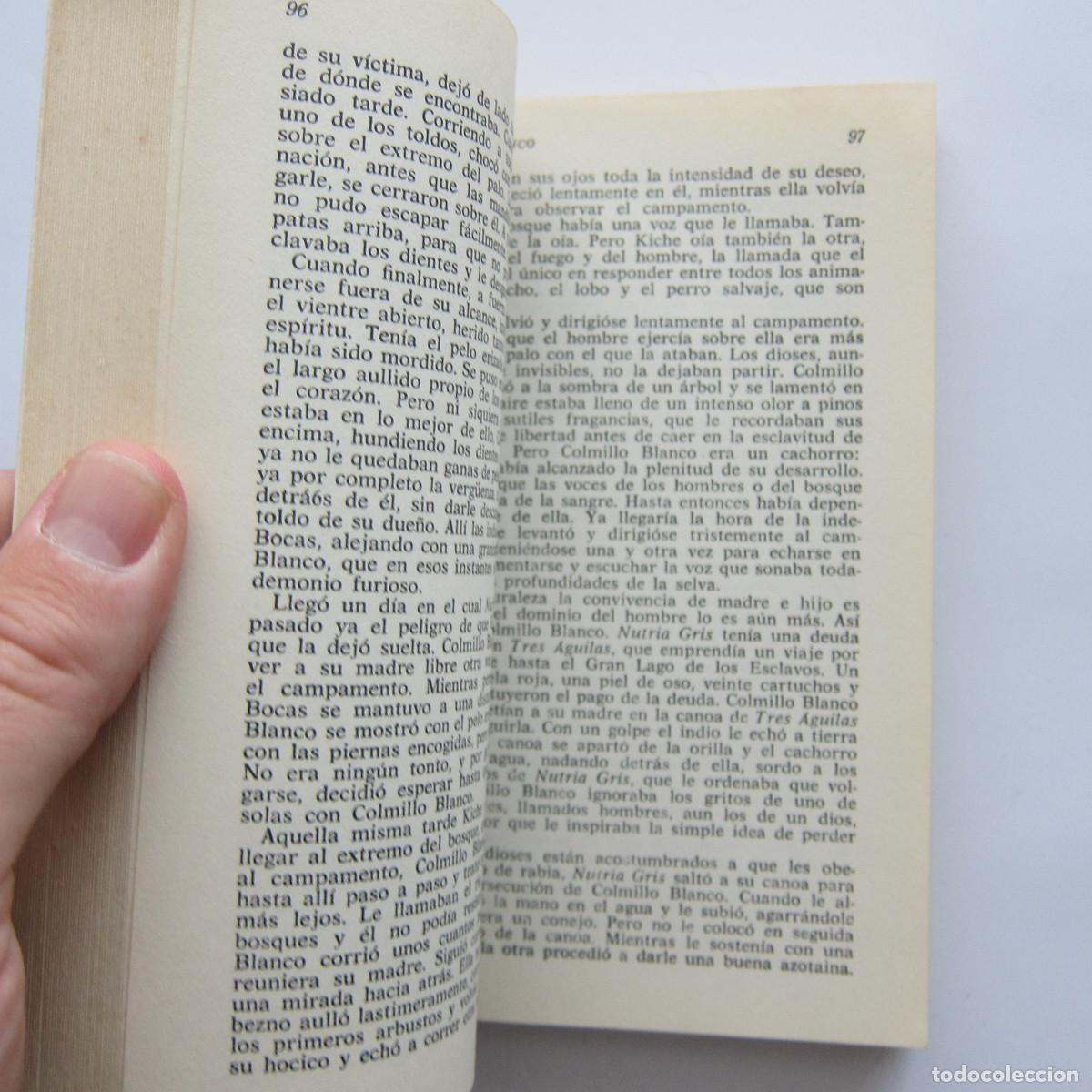 Libros de segunda mano: COLMILLO BLANCO - JACK LONDON (AUSTRAL) NOVELA - Foto 3