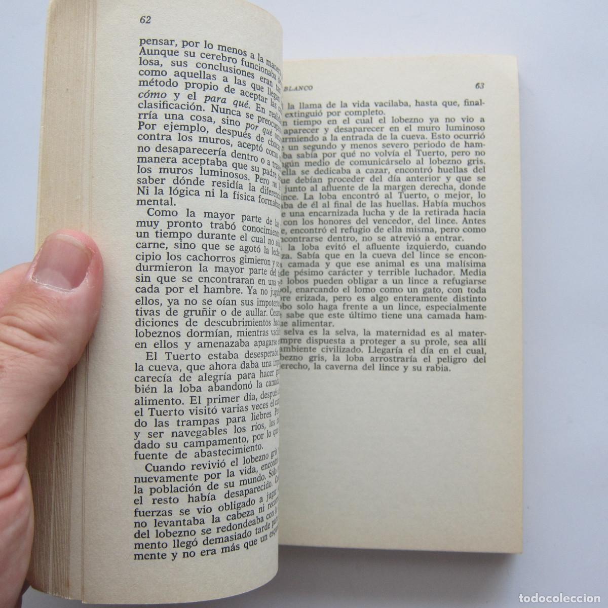 Libros de segunda mano: COLMILLO BLANCO - JACK LONDON (AUSTRAL) NOVELA - Foto 4