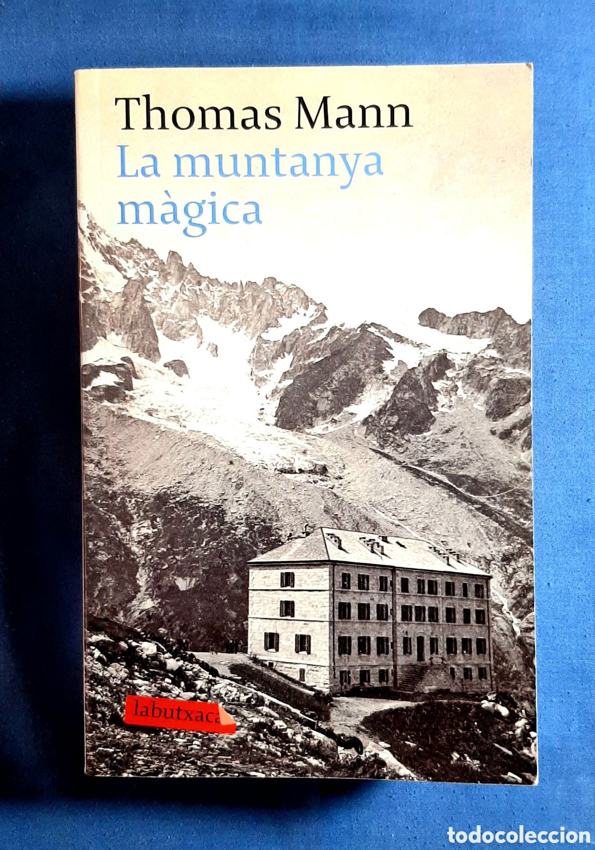 Libros de segunda mano: LA MUNTANYA M&Agrave;GICA. THOMAS MANN. PROA. 2015. CATAL&Agrave;.