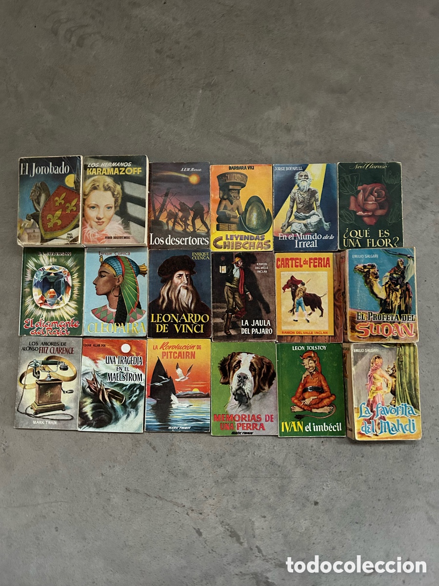 Libros de segunda mano: Lote 18 libros enciclopedia pulga