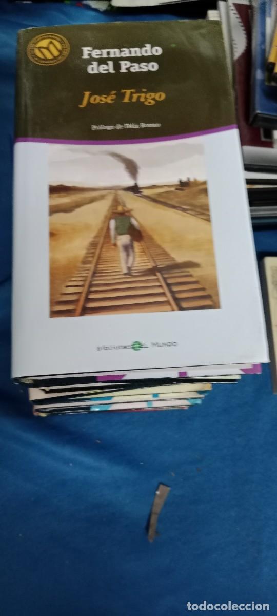 Libros de segunda mano: FERNANDO DEL PASO JOSE TRIGO LIBRO M-REP - Foto 1
