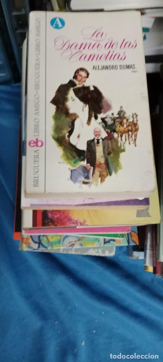 Libros de segunda mano: LA DAMA DE LAS CAMELIAS ALEJANDRO DUMAS LIBRO E-AND - Foto 1