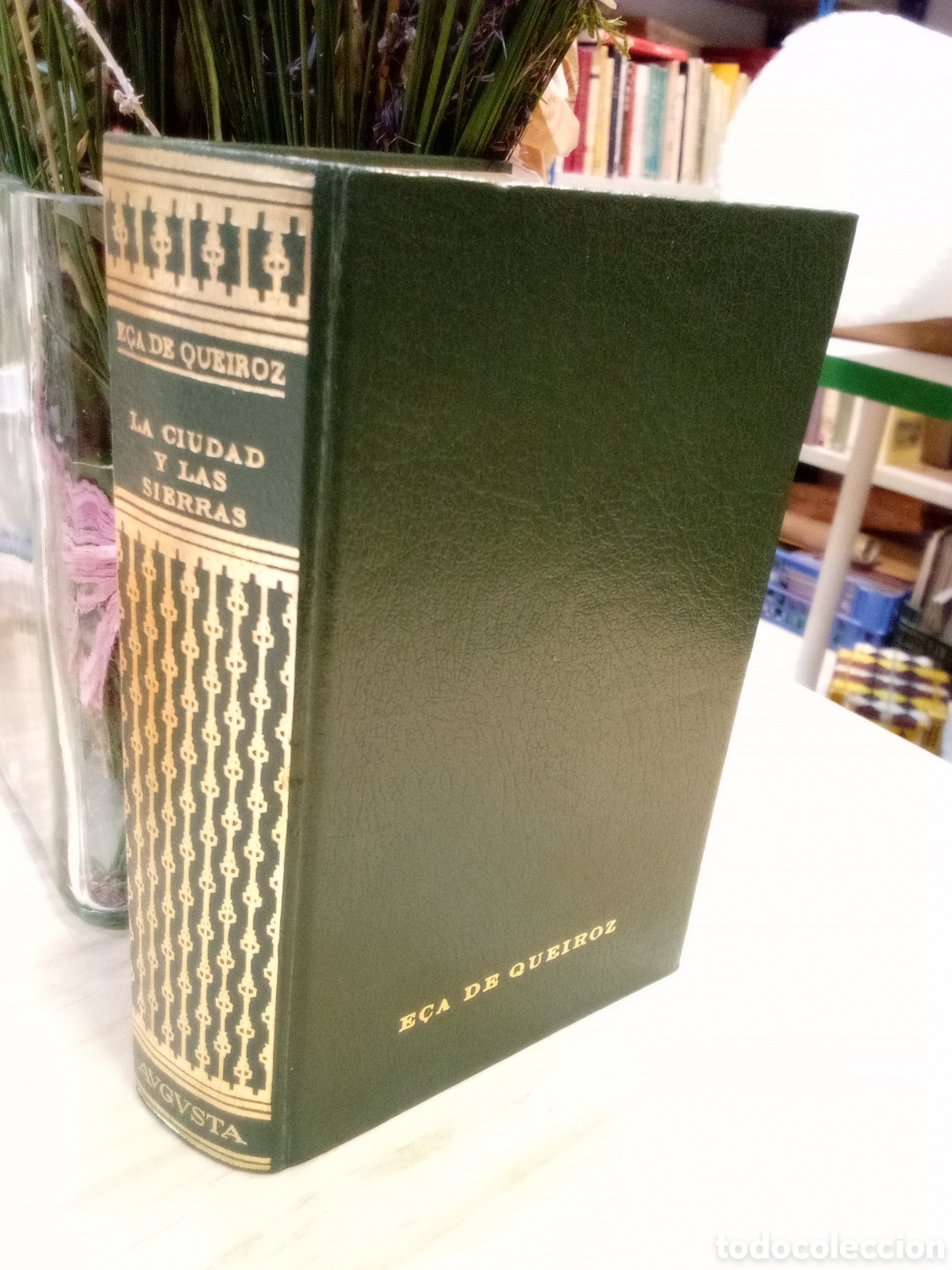 Gebrauchte B&uuml;cher: E&ccedil;a de Queiroz - La ciudad y las sierras