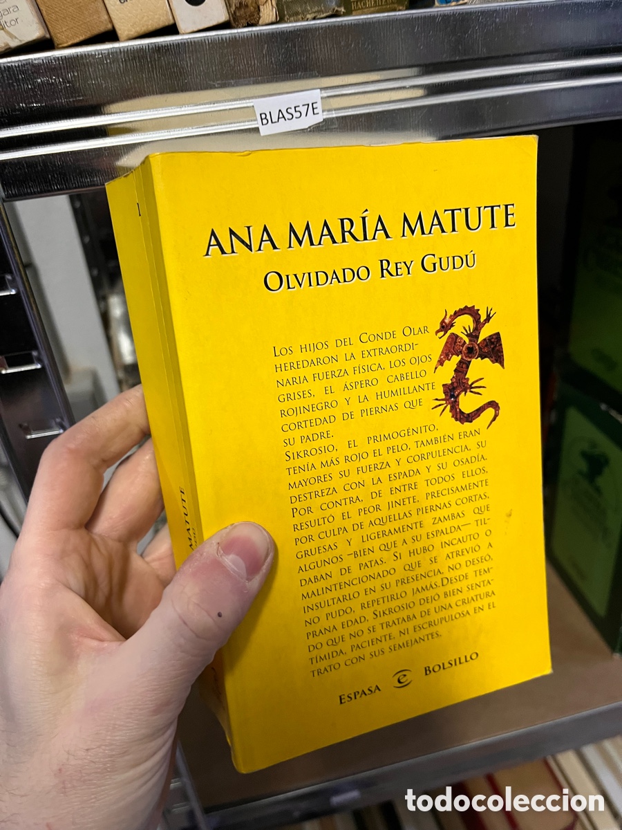 Libros de segunda mano: BLAS57E ANA MAR&Iacute;A MATUTE OLVIDADO REY GUD&Uacute;