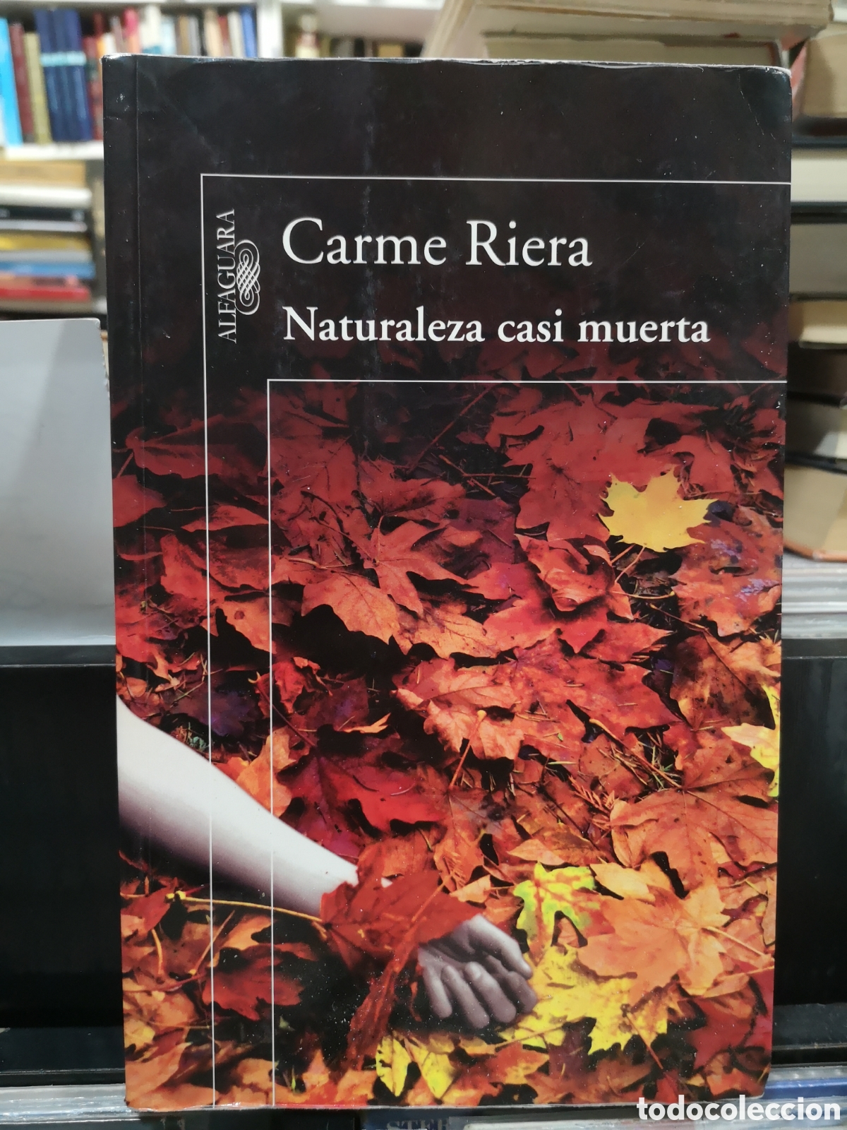 Libros de segunda mano: NATURALEZA CASI MUERTA - CARME RIERA - ENV&Iacute;O DESDE 1,95 &euro;