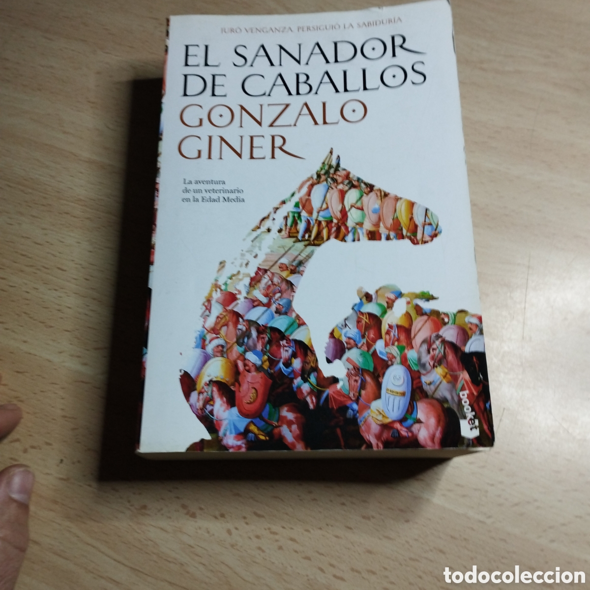 Libros de segunda mano: El sanador de caballos. Gonzalo Giner. 2019. Booket