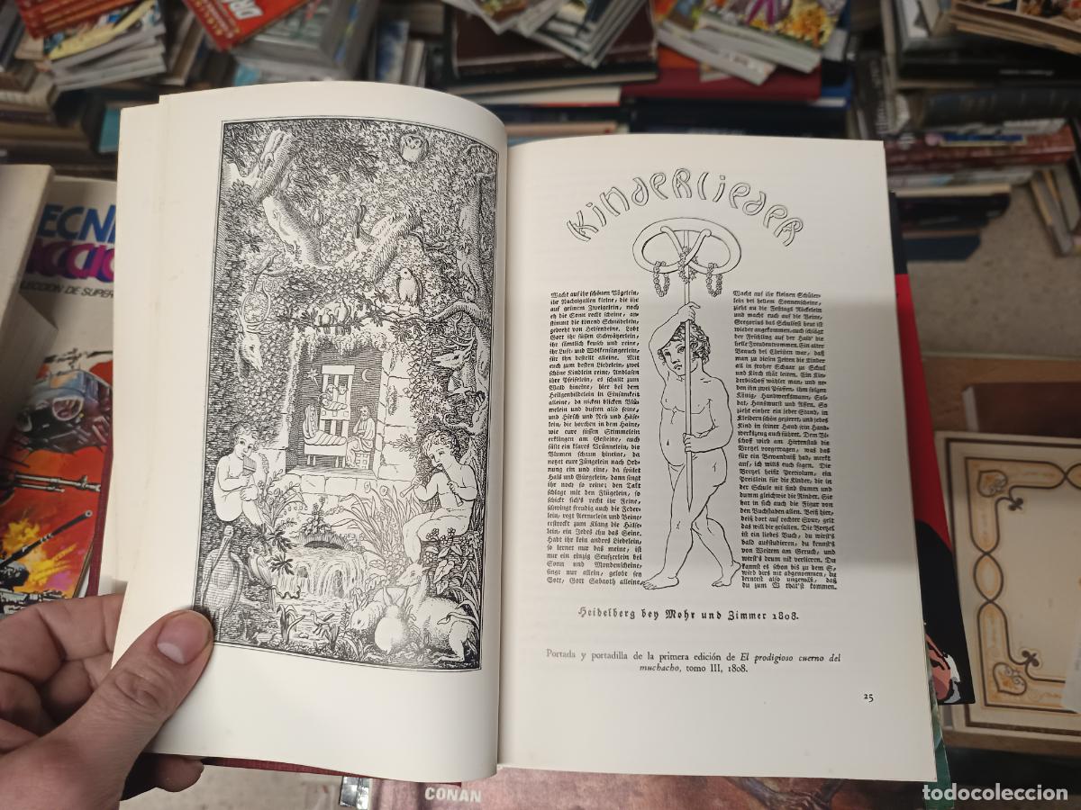 Libros de segunda mano: TRES SIGLOS DE LITERATURA INFANTIL EUROPEA . BETTINA H&Uuml;RLIMANN . EDITORIAL JUVENTUD . 1982