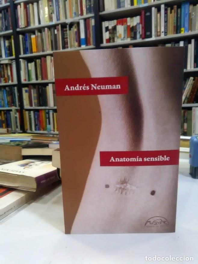 Libros de segunda mano: Anatom&iacute;a sensible. - Neuman, Andr&eacute;s.