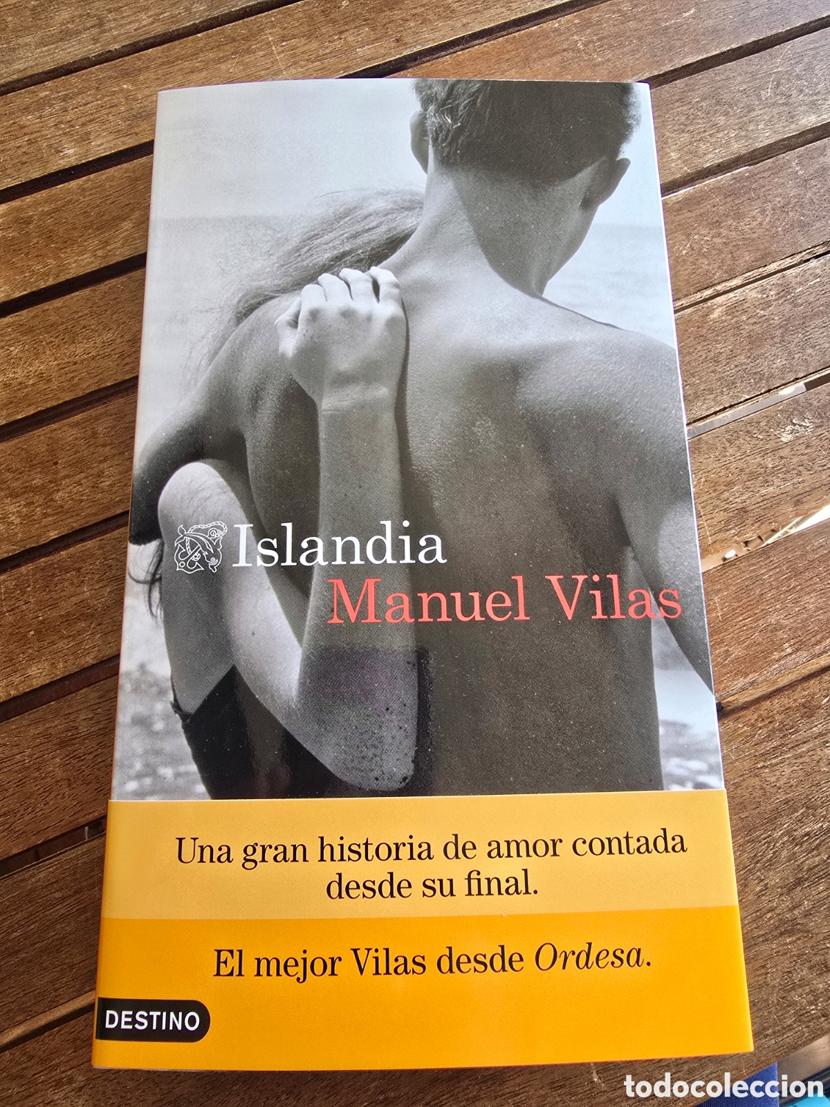 Libros de segunda mano: Islandia Manuel Vilas Editorial DESTINO 2026 novela