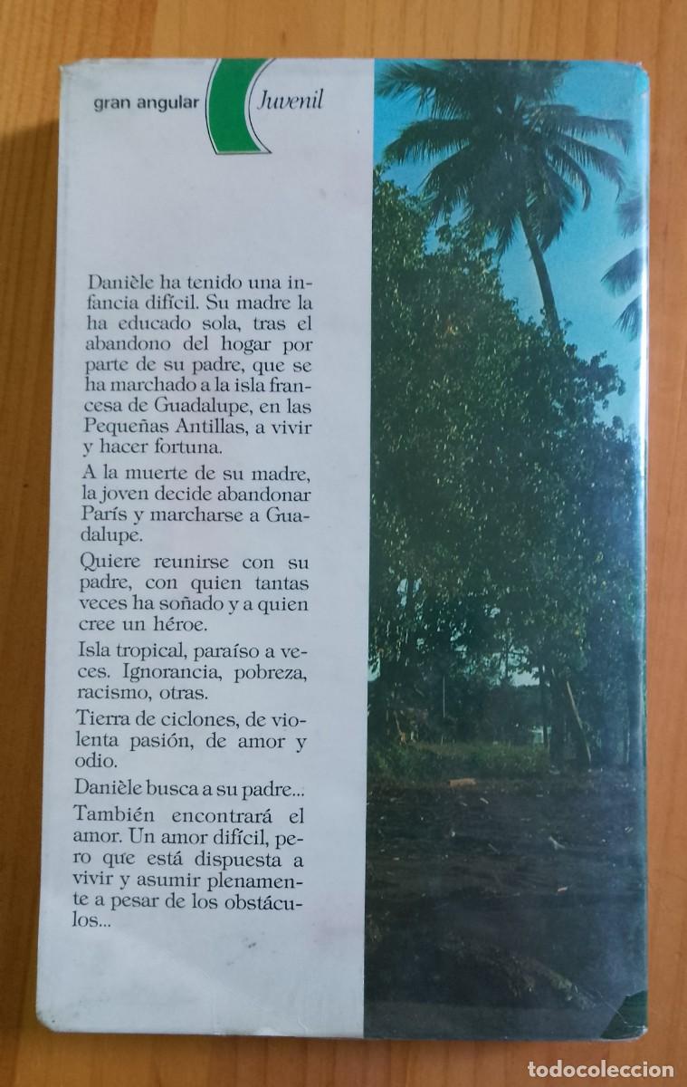 Libros de segunda mano: DANI&Egrave;LE EN LA ISLA - EVE DESSARRE - Foto 2