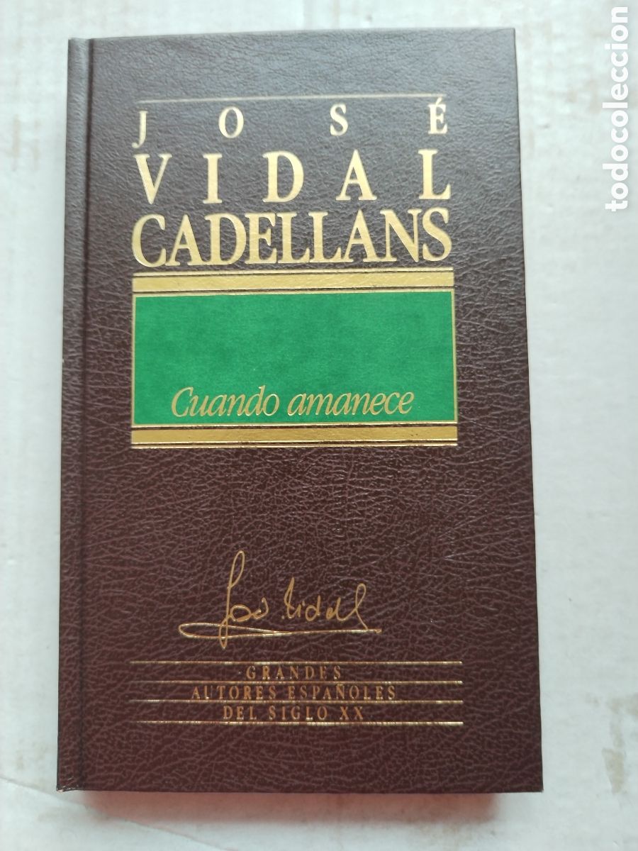 Libros de segunda mano: CUANDO AMANECE/JOS&Eacute; VIDAL CADELLANS